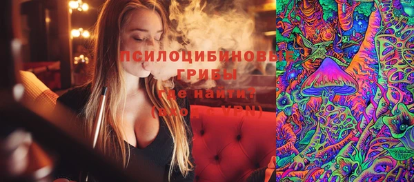 PSILOCYBIN Аркадак