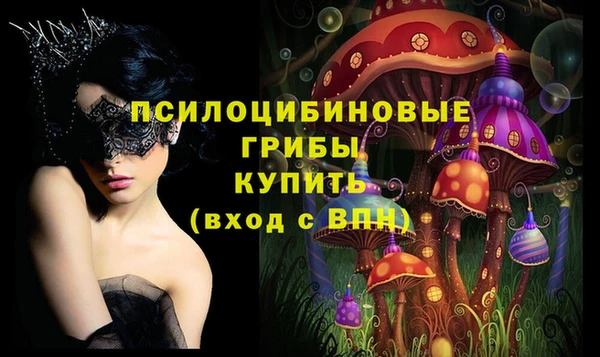 мет Арсеньев