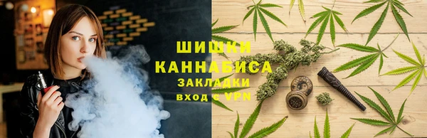 PSILOCYBIN Аркадак