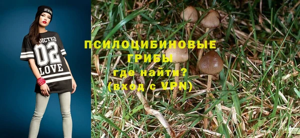 мет Арсеньев