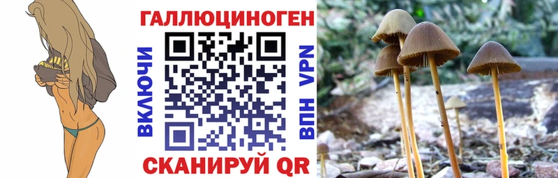 Псилоцибиновые грибы мицелий  цены наркотик  Багратионовск 